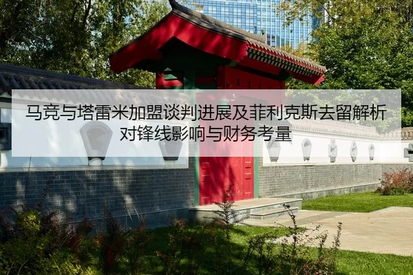 ma-jing-yu-ta-lei-mi-jia-meng-tan-pan-jin-zhan-ji-fei-li-ke-si-qu-liu-jie-xi-dui-feng-xian-ying-xiang-yu-cai-wu-kao-2-790.jpg